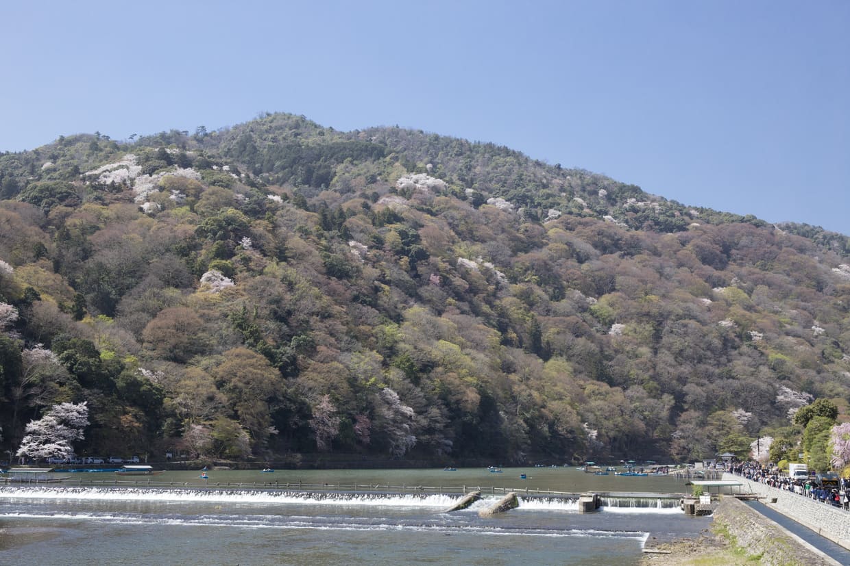 渡月橋から眺める嵐山・桂川の景色。 