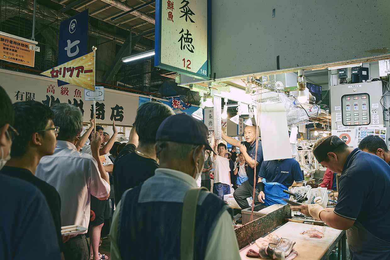 木津市場、セリ、鮮魚