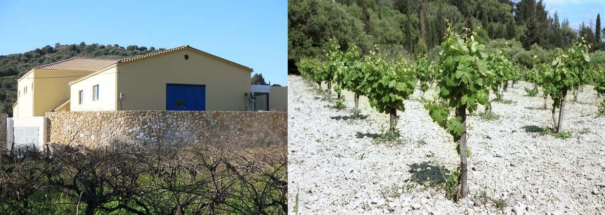 ギリシャ・ケファロニア島産の白ワインの生産地、アテネの西・約280km、イオニア海に浮かぶ小さな島、ケファロニア島。
