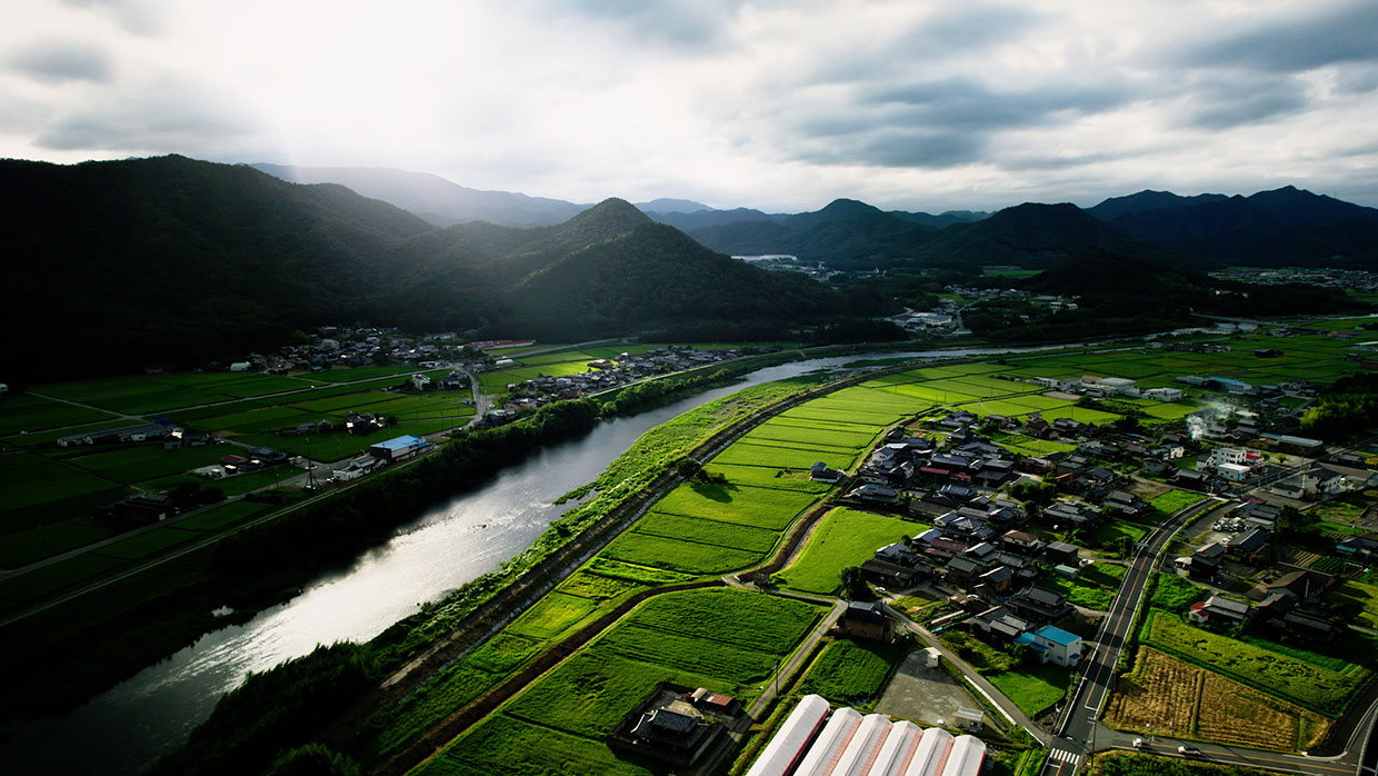 『宝酒造』「然土」の圃場全景