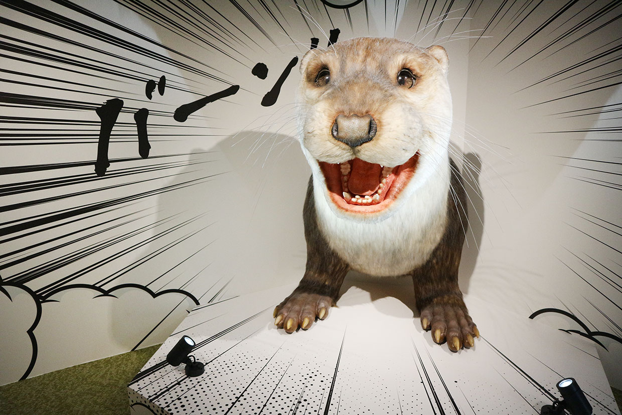 四国水族館の『ニホンカワウソ大捜索隊司令部』フォトスポット