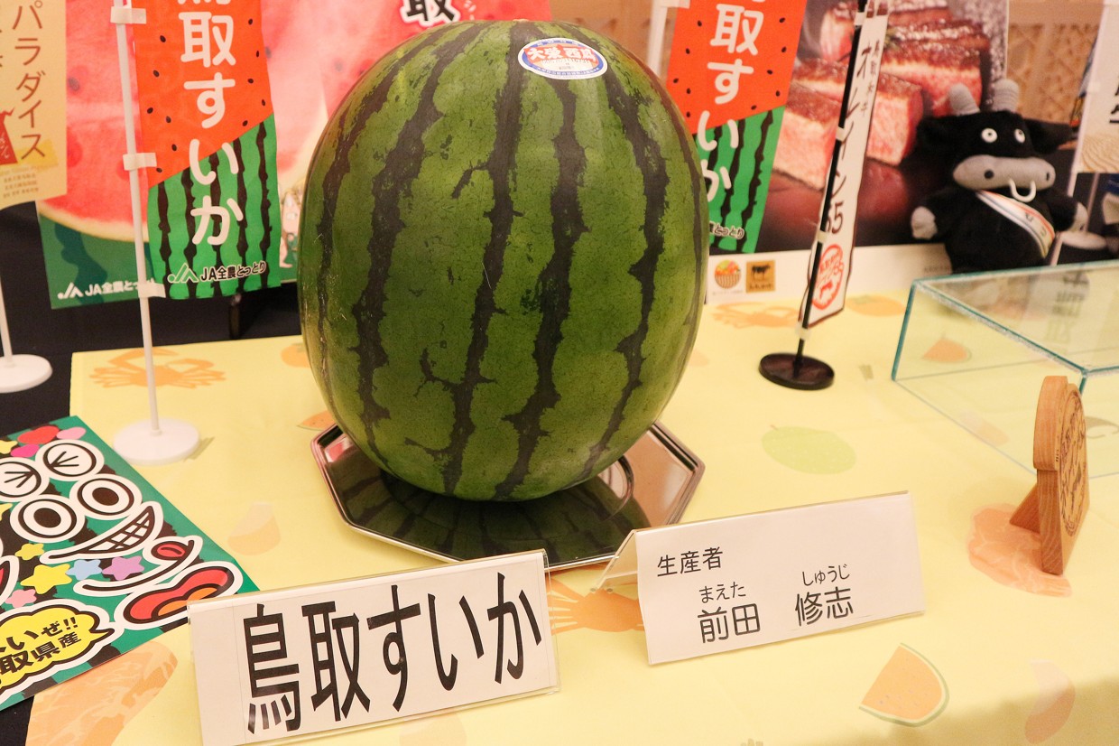 「食パラダイス鳥取県×食のみやこ熊本県フェア」鳥取すいか