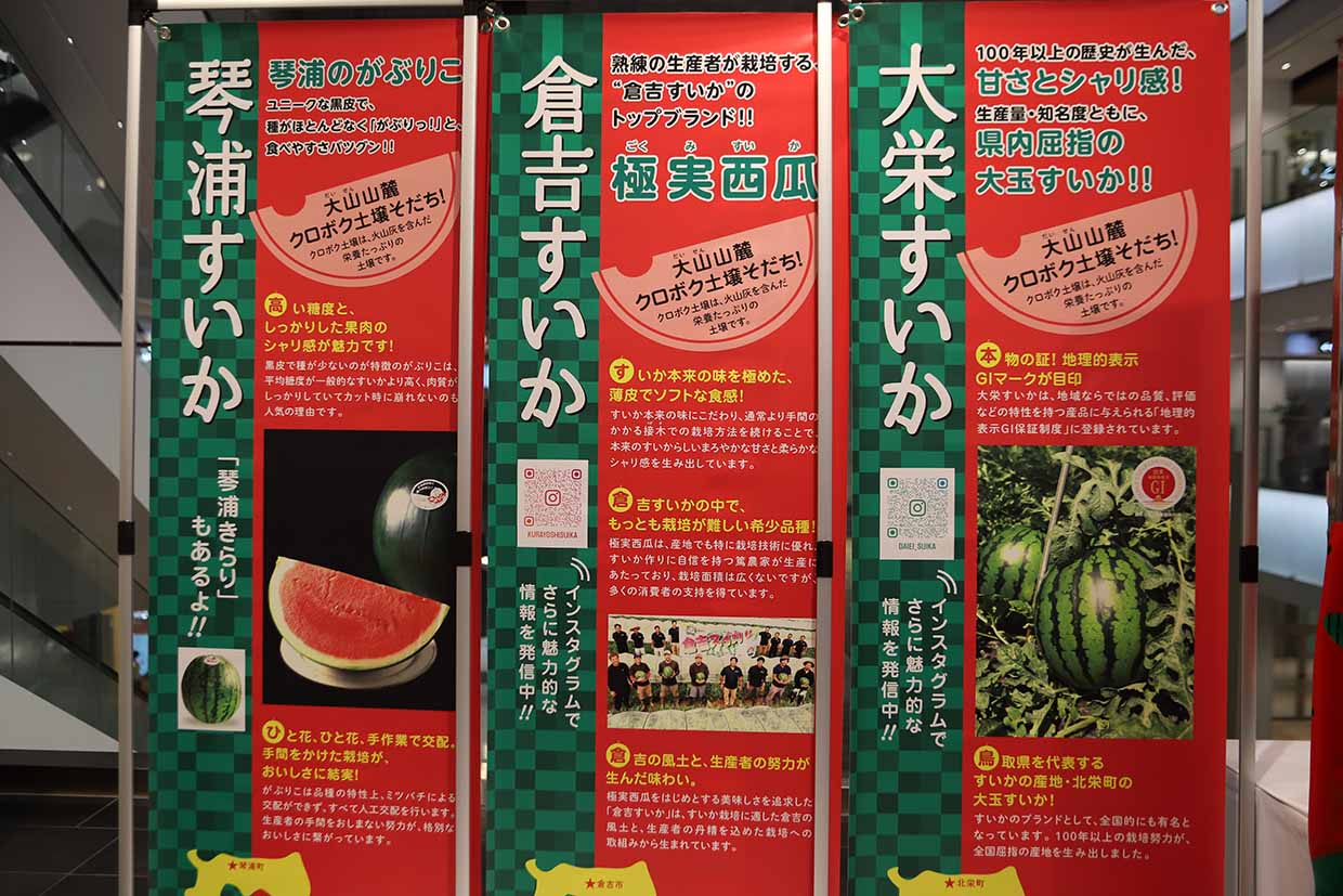 『鳥取すいか』についての展示