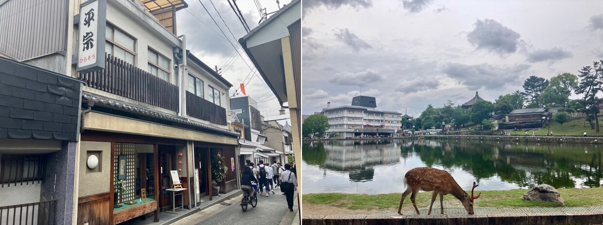 猿沢の池のほとりに鹿、平宗外観