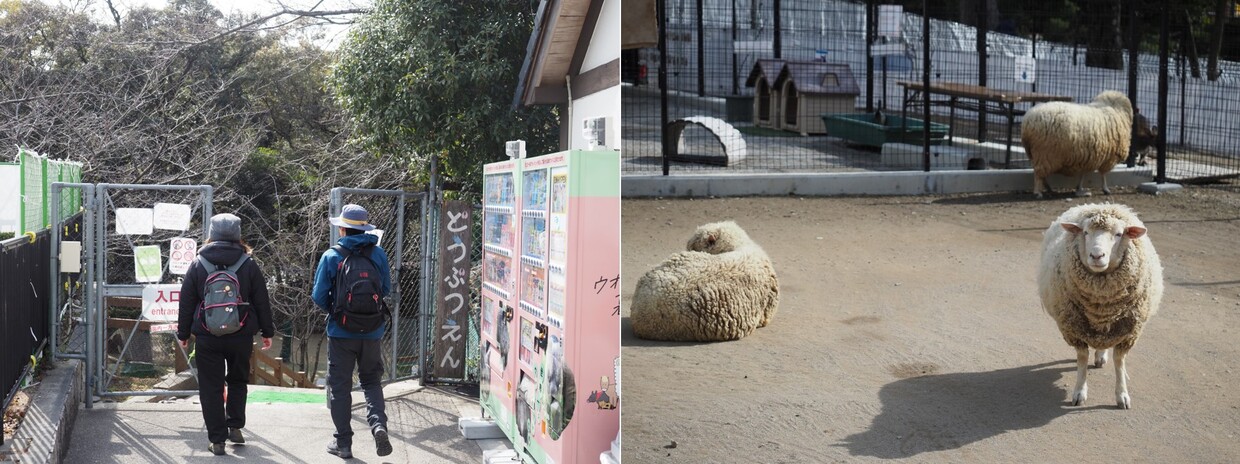 五月山動物園