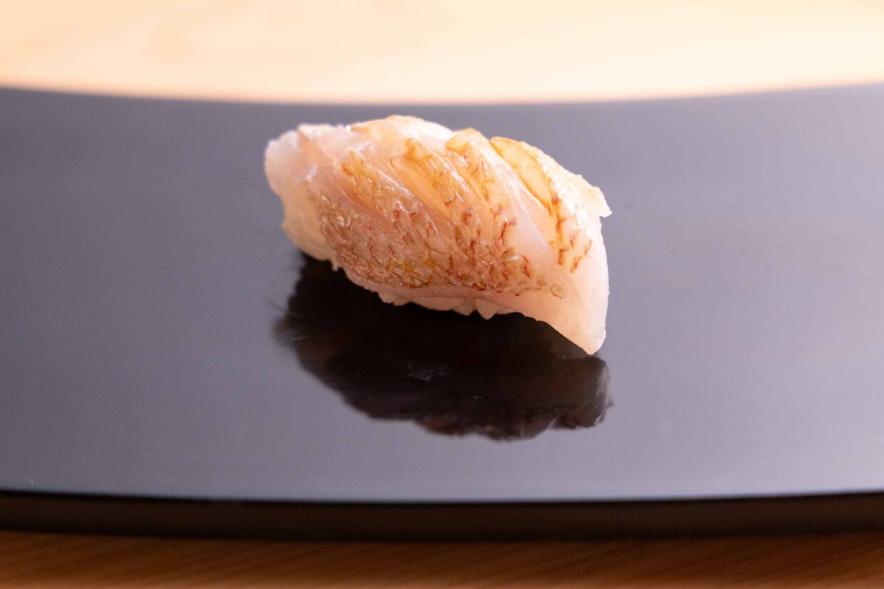 福井市『鮨処 海月（くらげ）』レンコダイ
