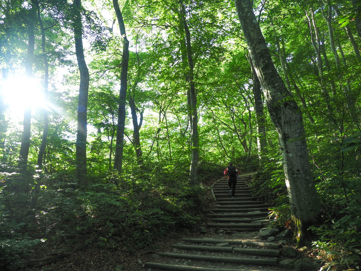 daisen11