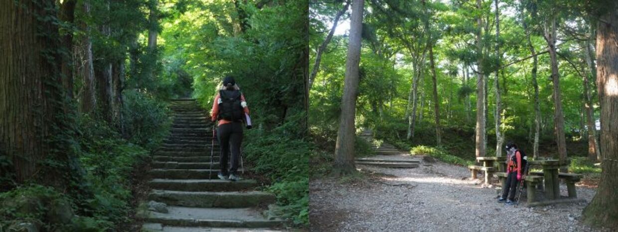 daisen2