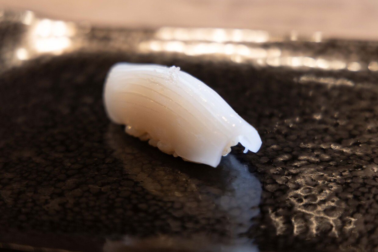 岡山『松寿司』イカ