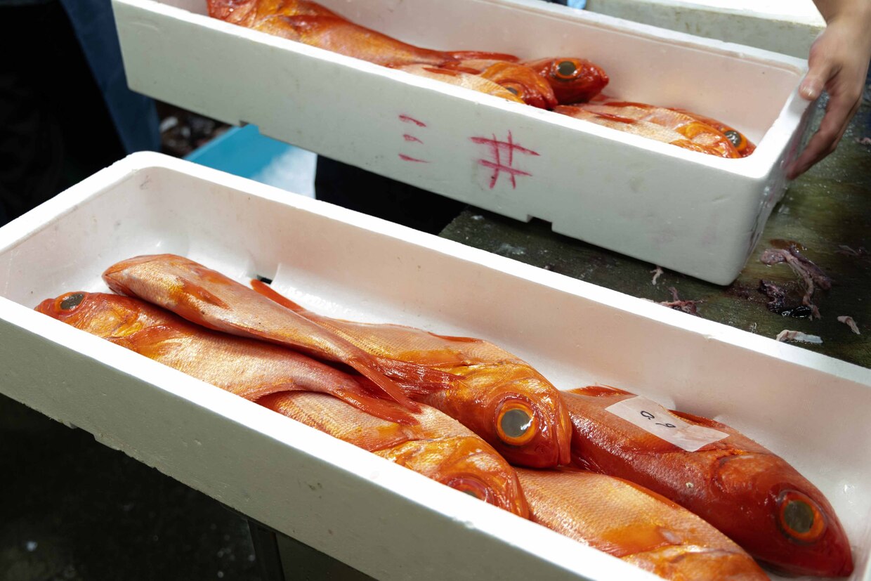 静岡・焼津『サスエ前田魚店』金目鯛