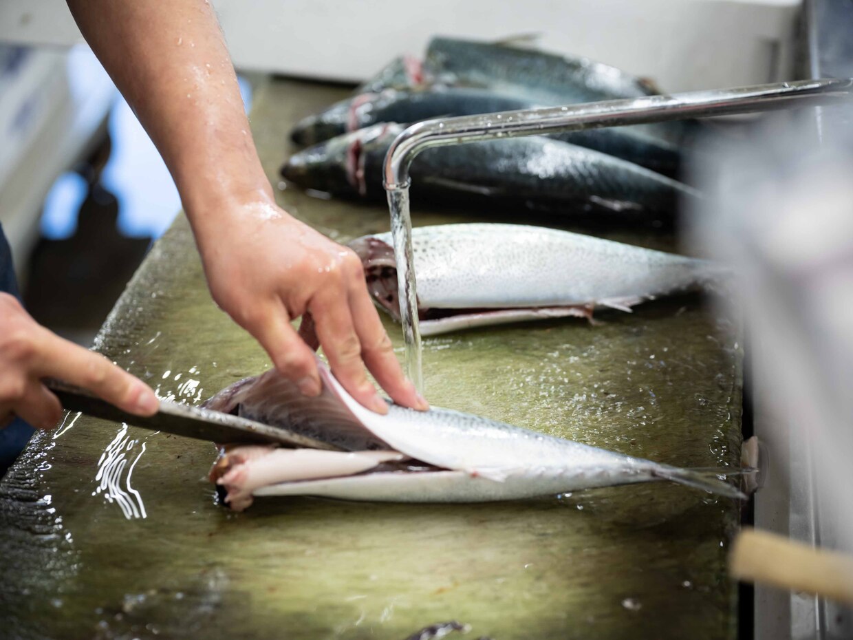 静岡・焼津『サスエ前田魚店』魚の身の掃除