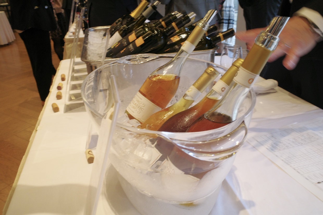 スロバキアワイン試飲会4