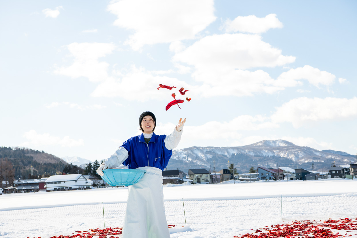 雪晒し