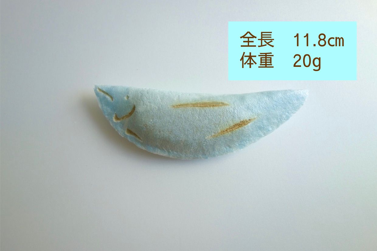 俵屋吉富「鴨川あゆ」｜京都