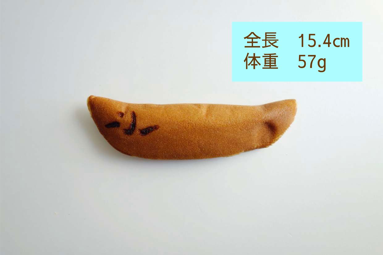 甘春堂「京・かも川 若あゆ」（抹茶）｜京都