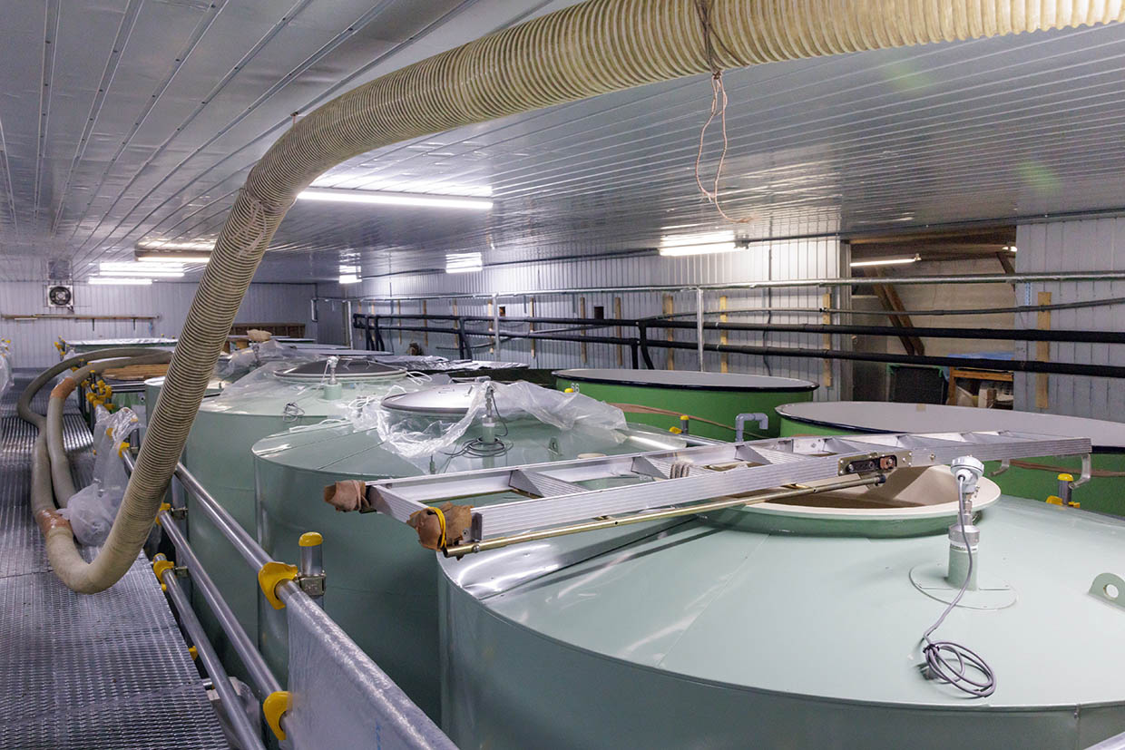 『千代むすび酒造』の仕込みタンク