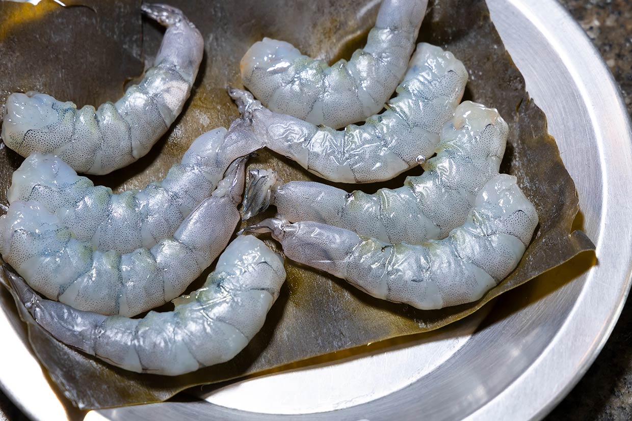 「サーモンとアボカドのタリアテッレ」エビの昆布〆