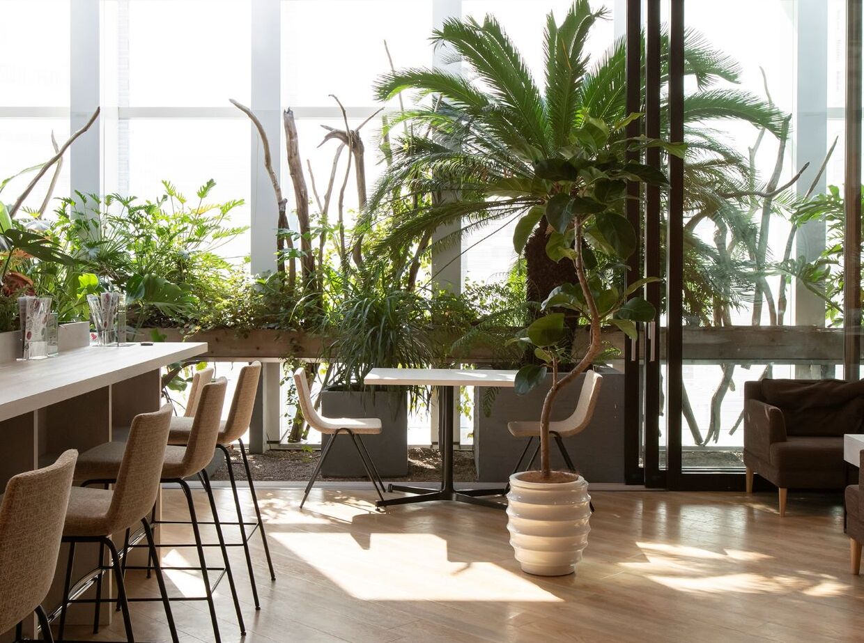 W RETREAT CAFE