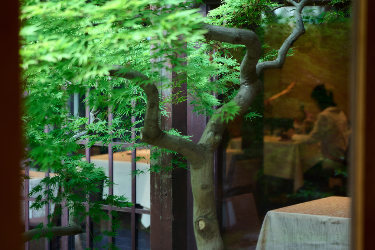 京都『下鴨茶寮』テーブル席
