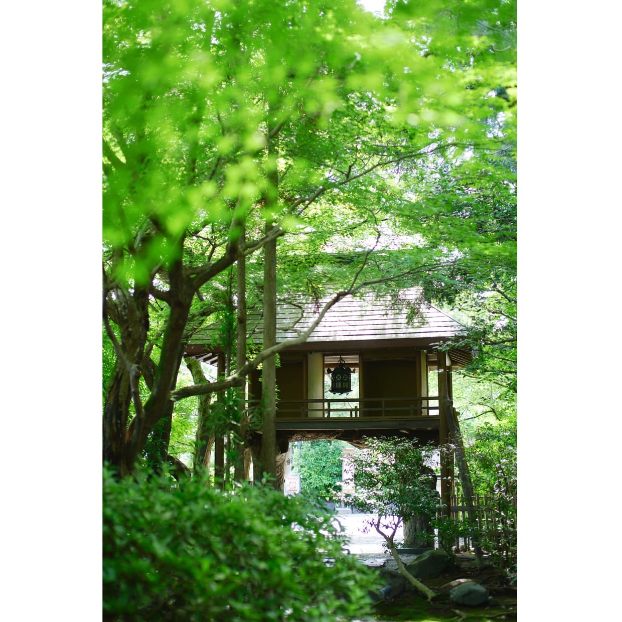 京都『山ばな 平八茶屋』騎牛門裏