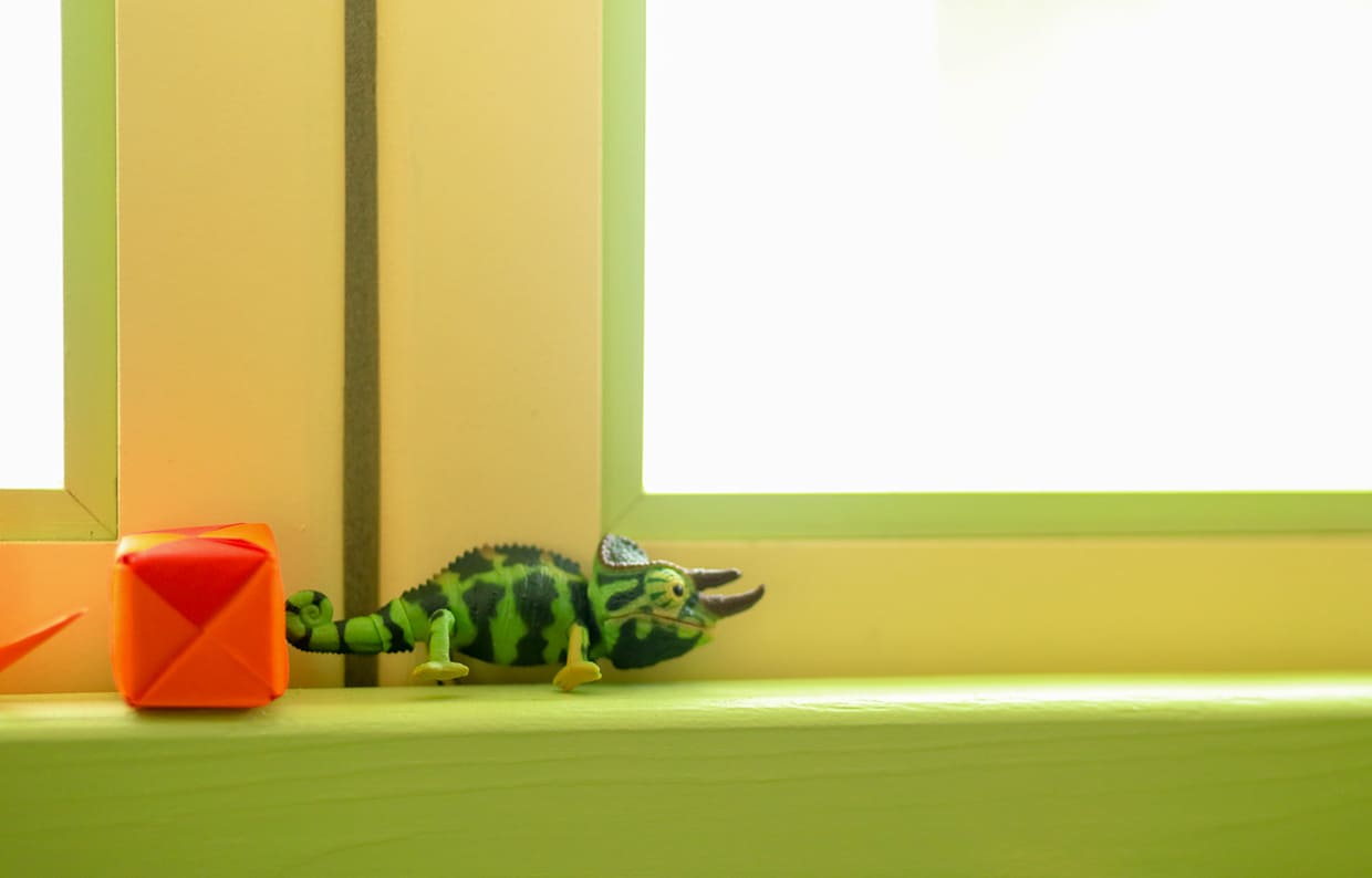 『ビストロケメレオン』のイメージ