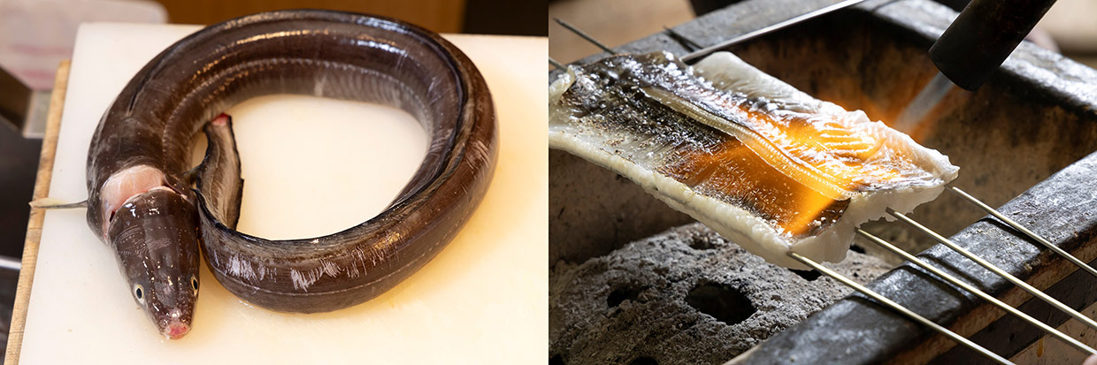 伝助穴子と、その焼き霜