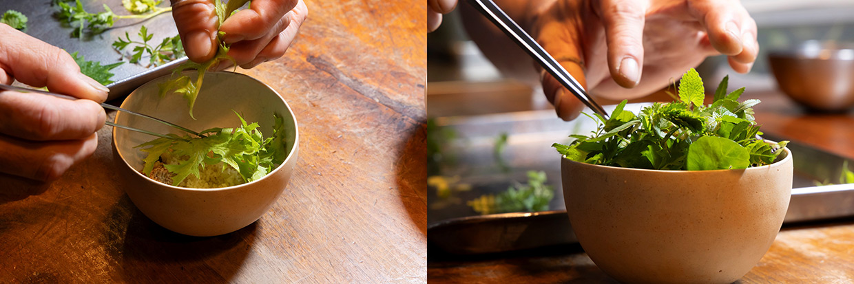 「野菜サラダ」を盛る