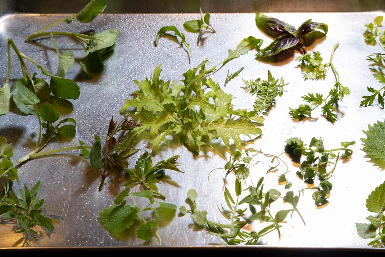 「Cà sento」のサラダに使う野菜