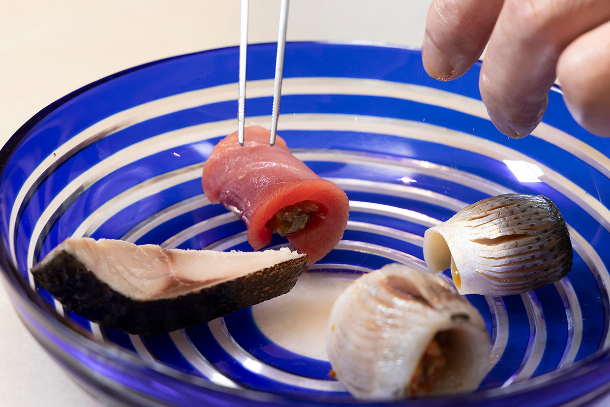 「Sea World」の魚