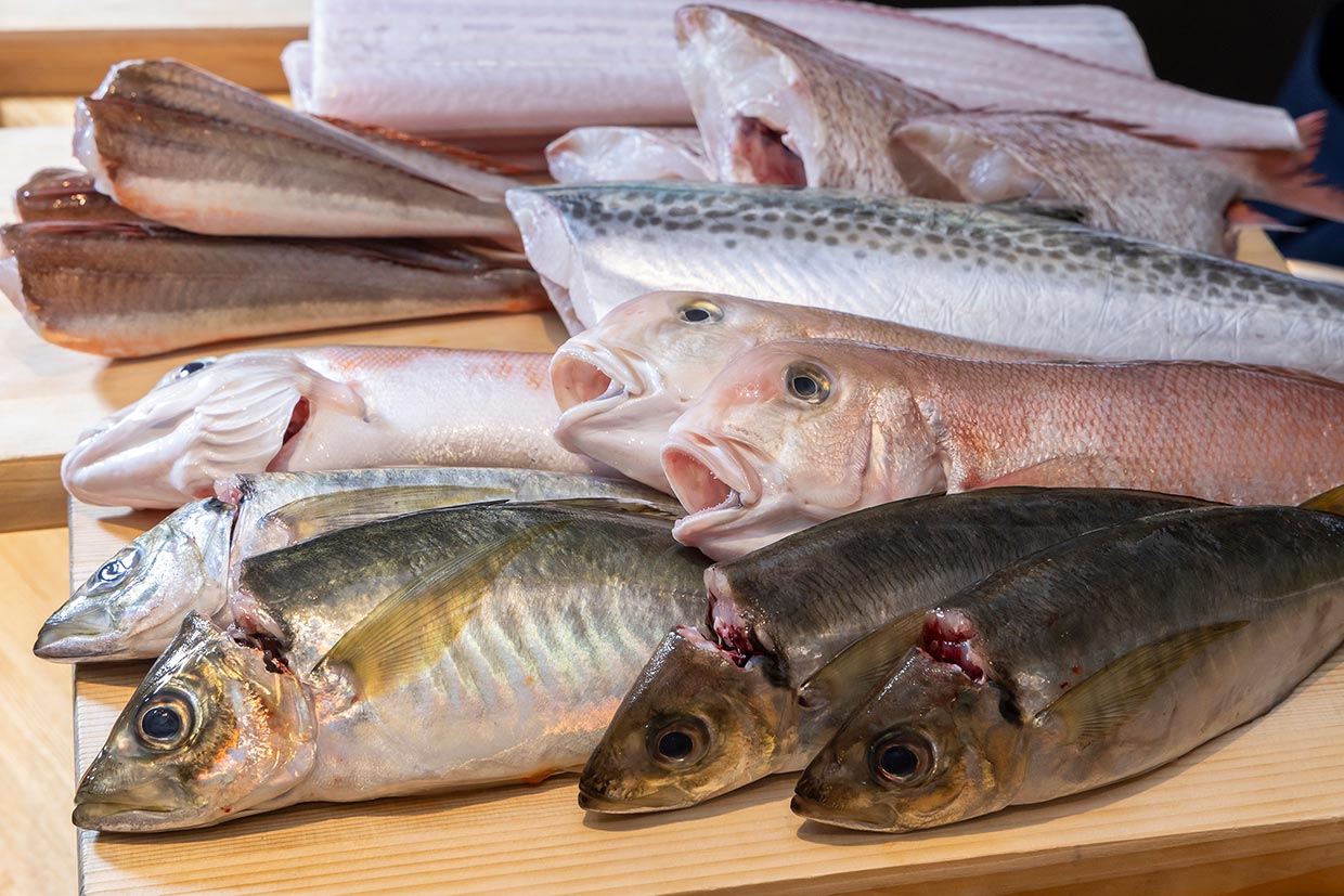 「サスエ前田魚店」から届く晩秋の魚