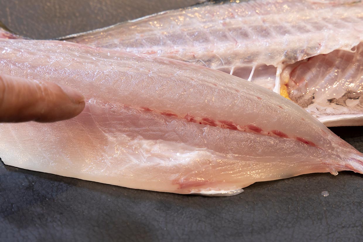 駿河湾の晩秋のアジ