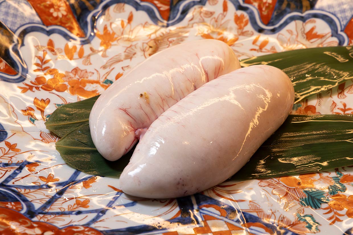 トラフグの白子