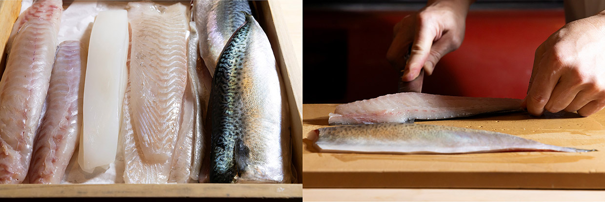 「弧柳」の造り用の魚