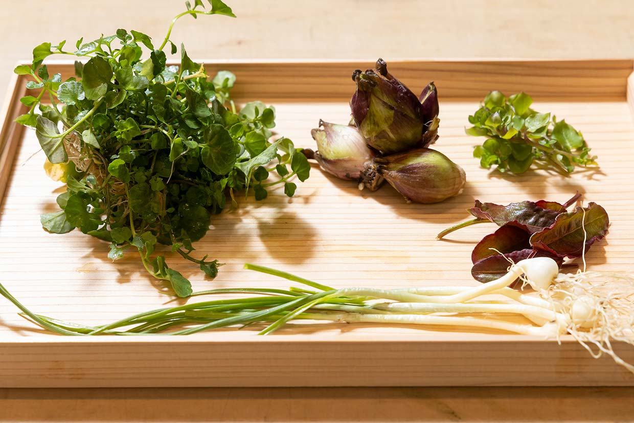 「心根」の「鯉の花籠仕立て」の山菜