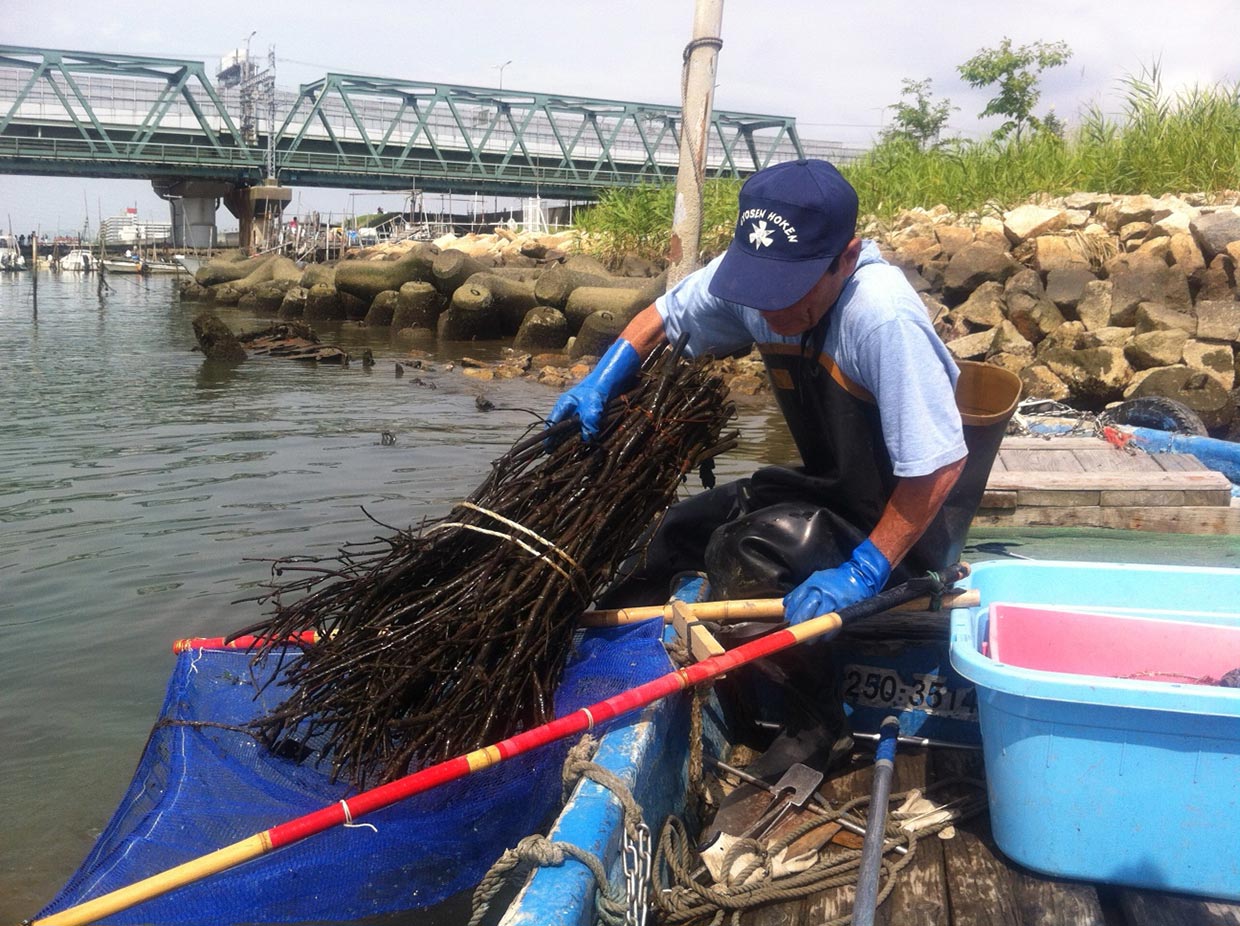 淀川のしきみ漁