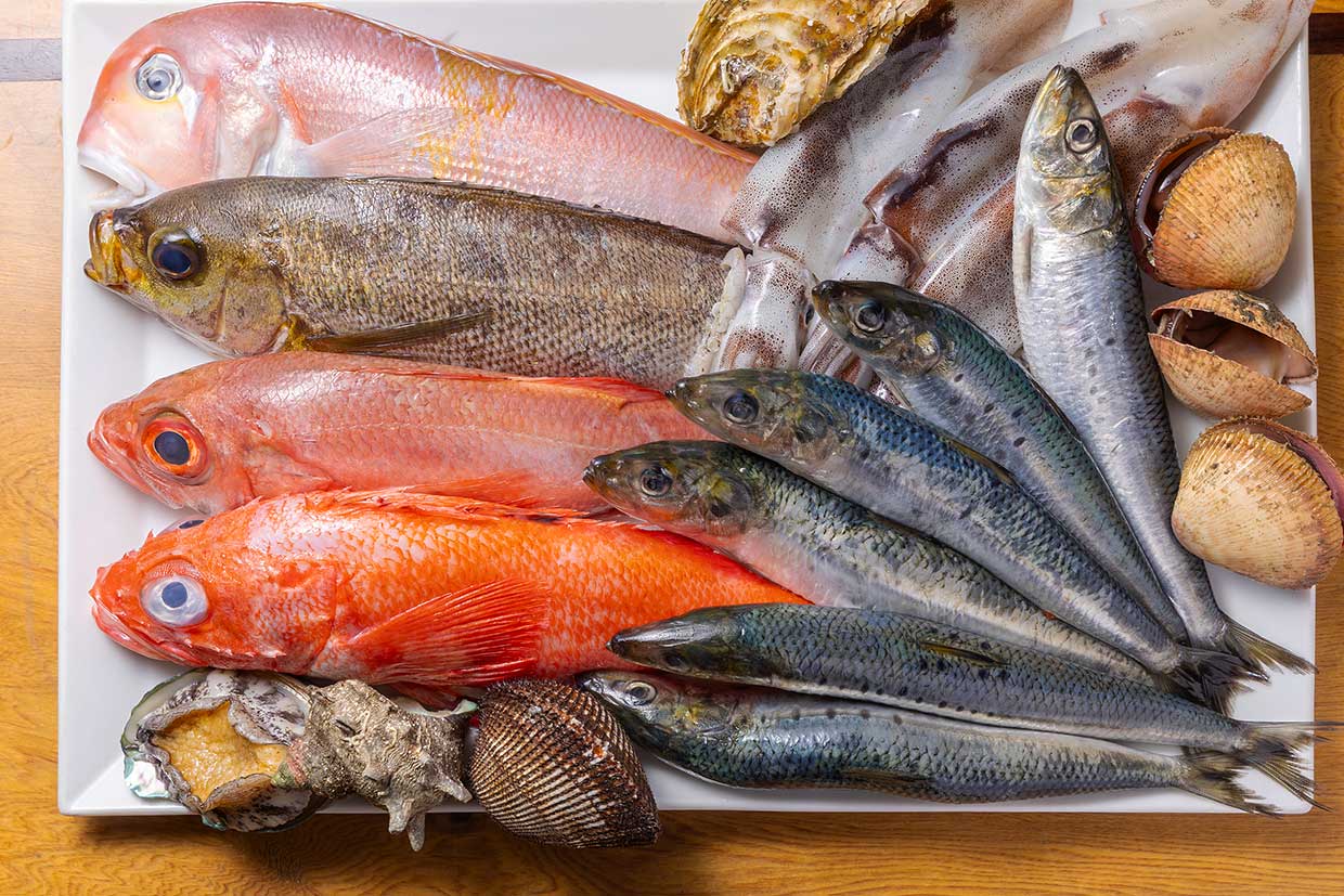 「トラットリア パッパ」の鮮魚
