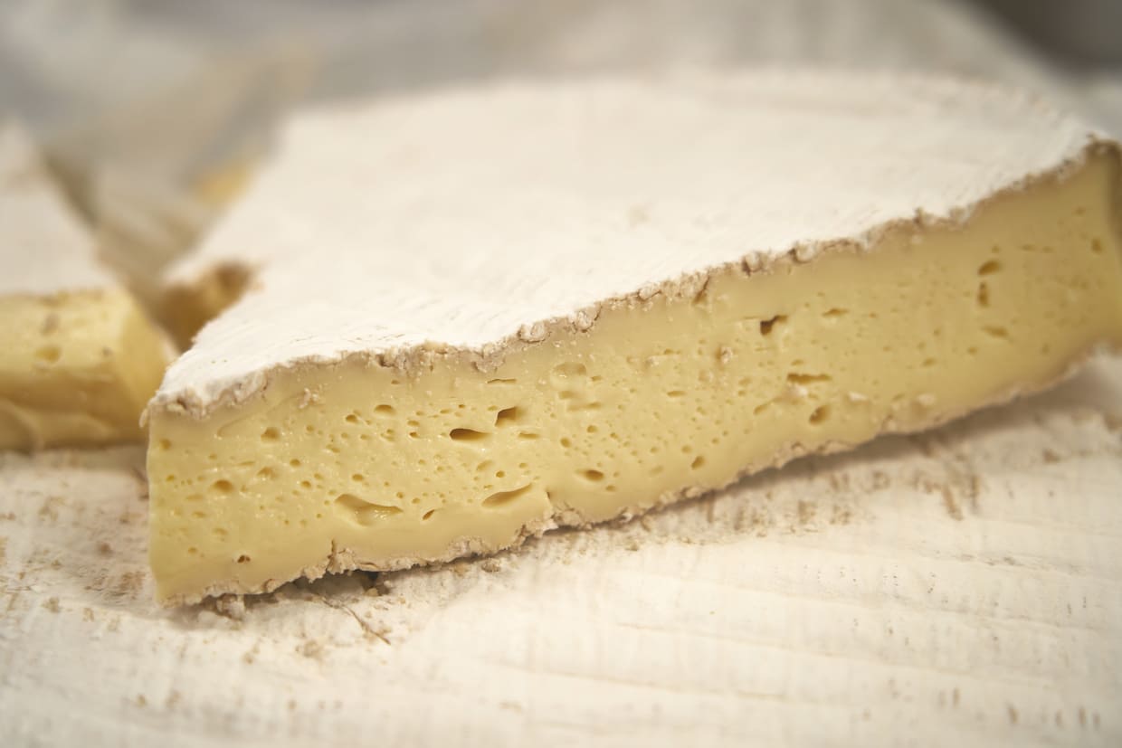 大阪・箕面『デリチュース』ブリー・ド・モー、カット