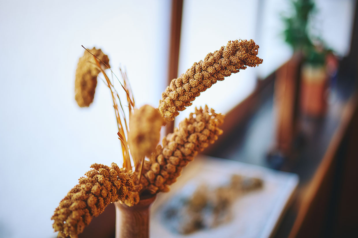 『粟餅所・澤屋』粟