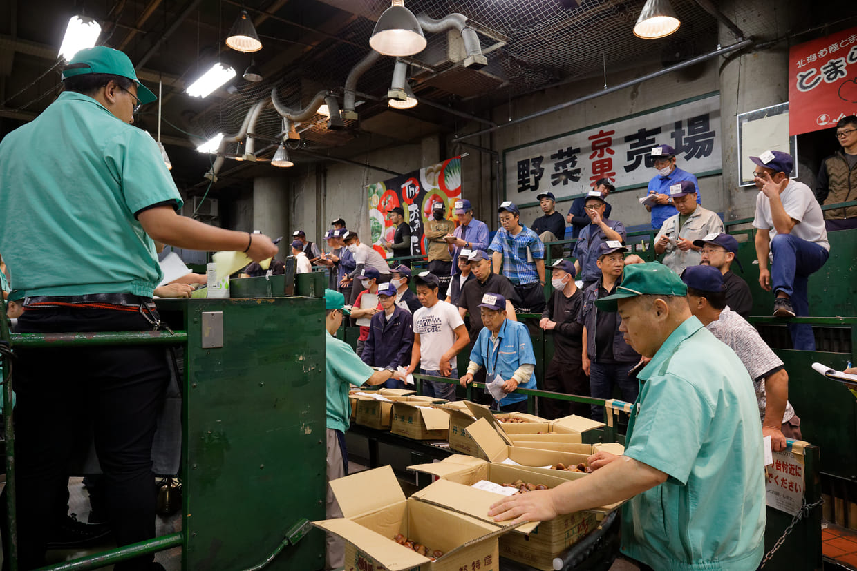 京都中央卸売市場青果部、丹波栗のせりの様子