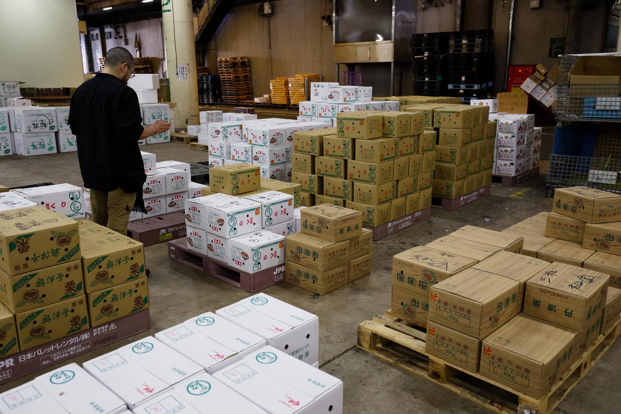 京都中央卸売市場青果部、競りが行われる前