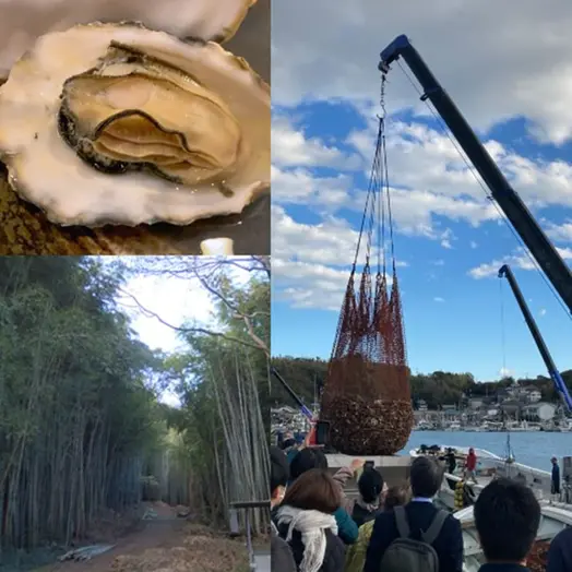「環プロジェクト 第２弾」太子のタケノコ産地×たつのの牡蛎養殖の資源循環