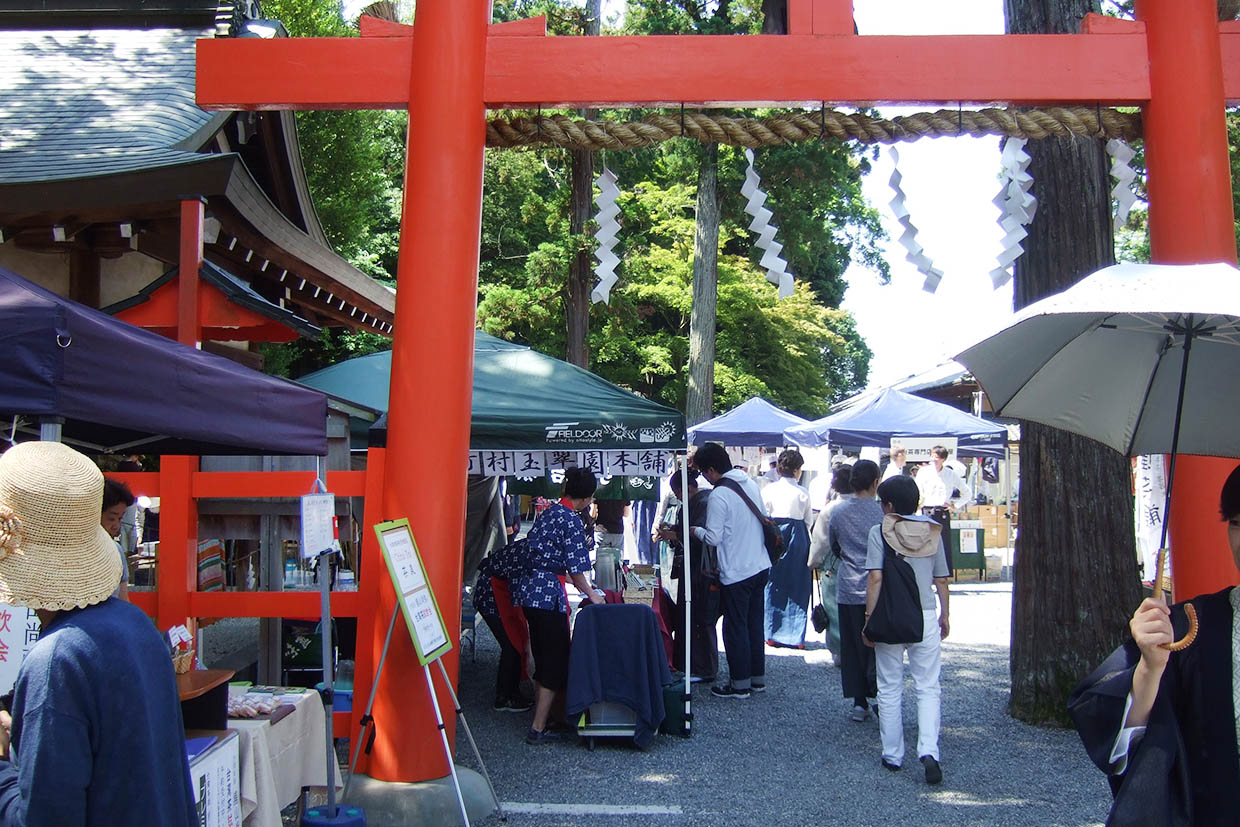 京都吉田山大茶会の会場（吉田神社境内）