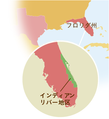 フロリダ地図